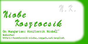 niobe kosztocsik business card